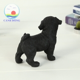 CHÓ PUG ĐEN - MÔ HÌNH TƯỢNG ĐẸP