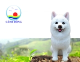 CHÓ SAMOYED TRẮNG TƯỢNG MÔ HÌNH ĐẸP