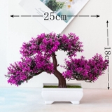 Chậu cây bonsai nhựa 3 nhánh nhiều màu sắc trang trí bắt mắt