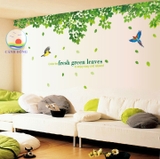 Decal dán tường combo phong cảnh thiên nhiên
