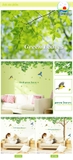 Decal dán tường combo phong cảnh thiên nhiên