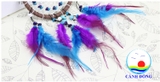 DREAMCATCHER LƯỚI GIẤC MƠ - BÙA NGỦ NGON MÀU TÍM XANH
