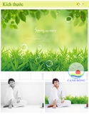 Giấy dán tường cỏ xanh