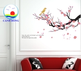 Giấy dán tường hoa đào - chim họa my hót không gian tươi vui sang trọng
