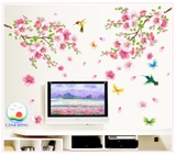 Giấy dán tường phong cảnh hoa anh đào căng tràn sức sống