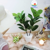 Chậu cây xanh 2 nhánh 30 lá nhựa cao cấp
