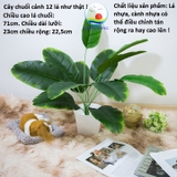 Chậu cây chuối cảnh nhựa trang trí 12 lá