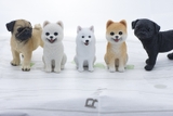 CHÓ SAMOYED TRẮNG TƯỢNG MÔ HÌNH ĐẸP