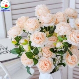 Cành hoa mẫu đơn vải 65 cm combo 5 cành trang trí sang trọng