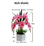 Chậu hoa phong lan lụa trang trí nội thất sang trọng