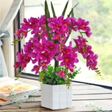 Chậu hoa phong lan lụa trang trí nội thất sang trọng
