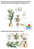 Decal dán tường cây chuối cảnh thiên nhiên sinh động