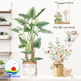 Decal dán tường cây cảnh thiên nhiên nhiệt đới