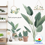 Decal dán tường thiên nhiên nhiệt đới tươi mát