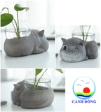 Mèo cute để lọ thủy tinh trồng cây, nuôi cá trang trí bàn