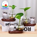Mô hình mèo đeo kính ngộ nghĩnh có chậu thủy tinh trồng cây, nuôi cá