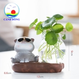 Mô hình mèo đeo kính ngộ nghĩnh có chậu thủy tinh trồng cây, nuôi cá