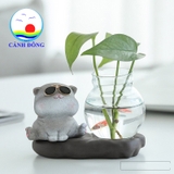 Mô hình mèo đeo kính ngộ nghĩnh có chậu thủy tinh trồng cây, nuôi cá
