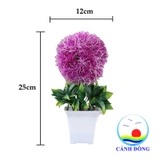 Chậu hoa nhựa để bàn trang trí hoa tròn lá xanh