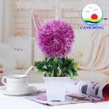 Chậu hoa nhựa để bàn trang trí hoa tròn lá xanh