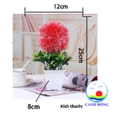Chậu hoa nhựa để bàn trang trí hoa tròn lá xanh