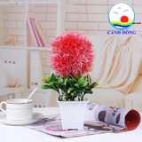 Chậu hoa nhựa để bàn trang trí hoa tròn lá xanh