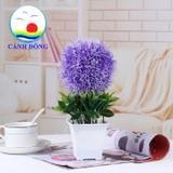 Chậu hoa nhựa để bàn trang trí hoa tròn lá xanh