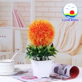 Chậu hoa nhựa để bàn trang trí hoa tròn lá xanh