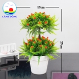 Chậu hoa nhựa 2 tầng trang trí bàn đẹp sang trọng