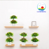 Chậu hoa nhựa 2 tầng trang trí bàn đẹp sang trọng