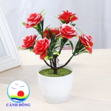 Chậu hoa hồng nhựa để bàn trang trí sinh động