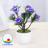 Chậu hoa hồng nhựa để bàn trang trí sinh động