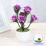 Chậu hoa hồng nhựa để bàn trang trí sinh động