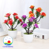Chậu hoa hồng nhựa để bàn trang trí sinh động