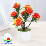 Chậu hoa hồng nhựa để bàn trang trí sinh động