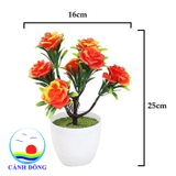Chậu hoa hồng nhựa để bàn trang trí sinh động