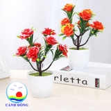 Chậu hoa hồng nhựa để bàn trang trí sinh động