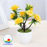 Chậu hoa hồng nhựa để bàn trang trí sinh động