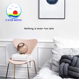 Decal dán tường chữ Nothing is ever too late truyền cảm hứng