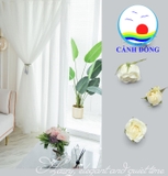 Rèm ren trắng vải 2 lớp kèm dây cột sang trọng
