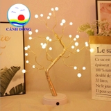 Đèn cây để bàn bóng led rực rỡ di chuyển tiện lợi