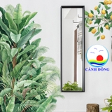 Decal dán tường cây xanh nhiệt đới cành cam tươi mát