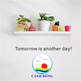 Decal dán tường chữ Tomorrow is another day ý nghĩa truyền động lực