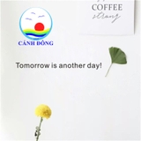 Decal dán tường chữ Tomorrow is another day ý nghĩa truyền động lực