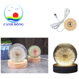 Đế đèn led tròn đặt quả pha lê lung linh