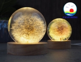 Đế đèn led tròn đặt quả pha lê lung linh