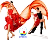Decal dán tường trung tâm dạy nhảy khiêu vũ salsa trang trí đẹp ấn tượng, sang trọng - in theo size yêu cầu trên nhiều chất liệu - sẵn keo dán dễ.