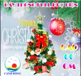 Cây thông NOEL trang trí giáng sinh đón chào năm mới (không kèm phụ kiện)