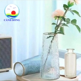 Lọ hoa thủy tinh hoàng gia cao 21.5 cm chạm khắc trang trí phòng xinh , decor chụp ảnh đẹp