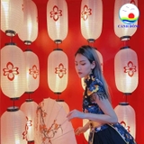 Đèn lồng in hoa trang trí quán, nhà hàng , sự kiện phong cách Á Đông ấn tượng, sang trọng